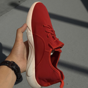 allbird's wool runner